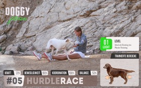 Hurdle Race - Cavaletti Training