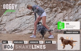 Snake Lines - Slalom Training