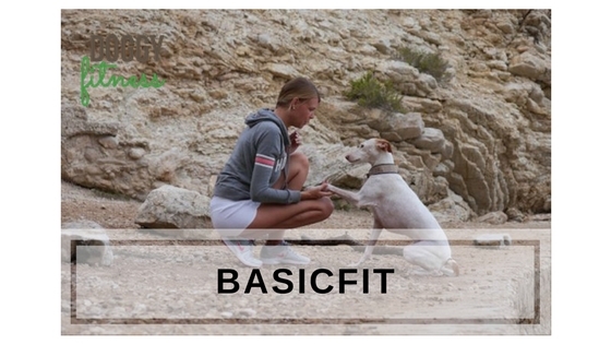 Basic Fit - Kurs für den Hund zur Prävention - Fitnesstraining, Muskelaufbau, Koordination und Balance
