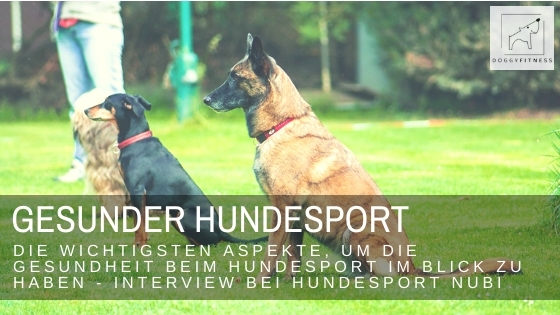 Das Thema Gesundheit wird im Hundesport immer größer und wichtiger. Im Interview mit Hundesport Nubi verrate ich dir die wichtigsten Basic dazu.