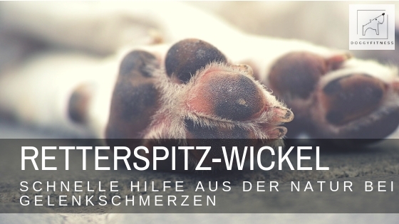Retterspitz - Wickel sind eine tolle Möglichkeit, deinem Hund mit natürlichen Mitteln Schmerzlinderung z.B. bei Arthrose, HD & Co. zu verschaffen.