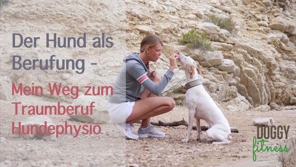 Hundephysio Beruf - Doggy Fitness Martina Flocken Hundephysiotherapie