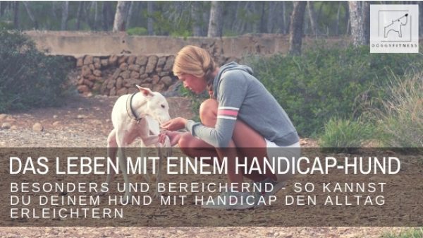 Das Leben mit einem Handicap-Hund - Ich verrate dir wichtige Tipps für das Leben und den Alltag, für ein tolles und unkompliziertes Leben trotz Behinderung.