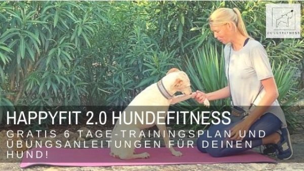 HAPPYFIT 2.0 Hundefitness – gratis 6 Tage Trainingsplan und Übungsanleitungen für deinen Hund - dein Einstieg ins Bewegungstraining!