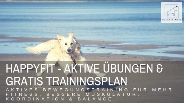 Happyfit - aktives Bewegungstraining & aktive Übungen für mehr Fitness für deinen Hund - inklusive Trainingsplan