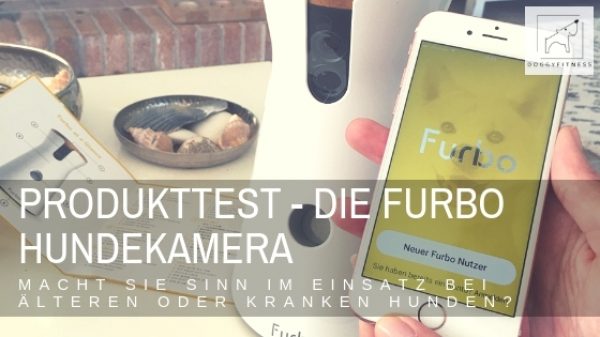 Produkttest Furbo Hundekamera - Doggy Fitness