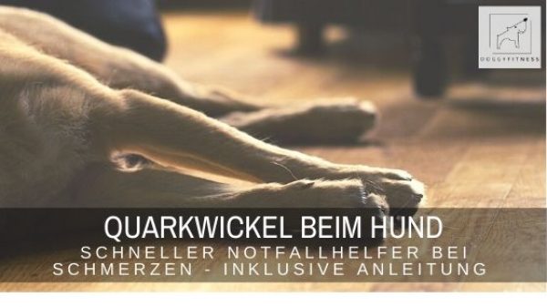 Der Quarkwickel beim Hund ist ein kalter Wickel und kann zur akuten Schmerztherapie, bei Entzündungen und Schwellungen eingesetzt werden.