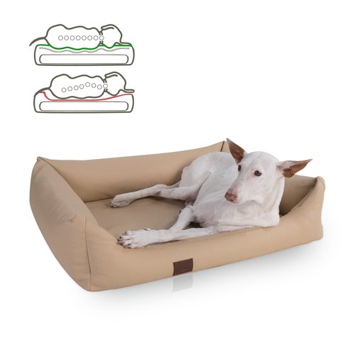 Doggyfit orthopädisches Hundebett Buddy mit orthopädischer 2-Komponenten Matratze mit Memory Foam – für den besten Schlaf deines Hundes