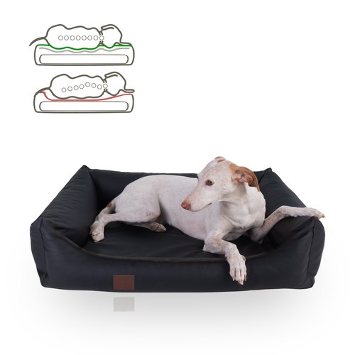 Doggyfit orthopädisches Hundebett Buddy mit orthopädischer 2-Komponenten Matratze mit Memory Foam – für den besten Schlaf deines Hundes