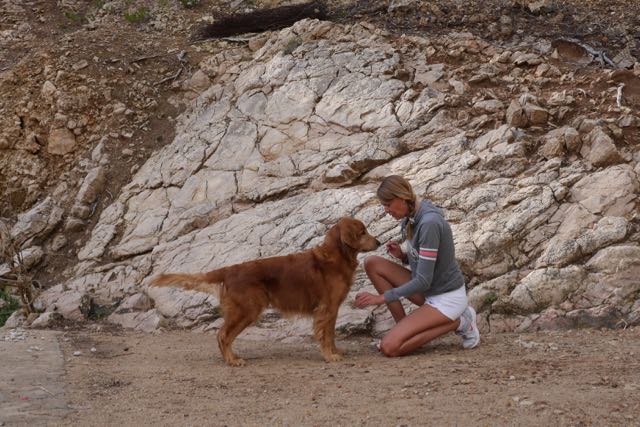 Übung Steh Troy Doggy Fitness Urlaub mit Hund